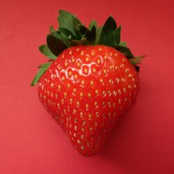 Volná místa - Stánkový prodej jahod